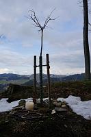  9. März 2013 - der Schnee ist weg und ich konnte wieder von Berneck zu Fuss auf die Landmark wandern